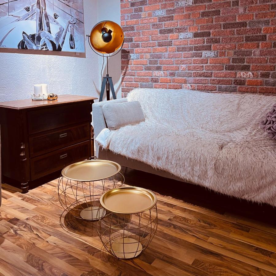 Charmante Ferienwohnung In Dresden Striesen - Frau Pie Appartement エクステリア 写真