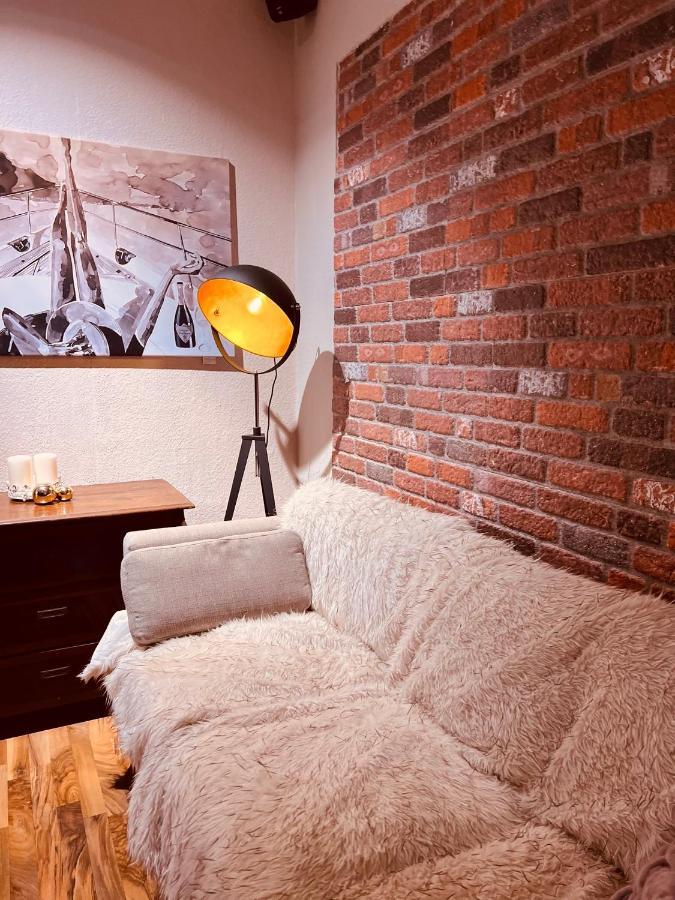 Charmante Ferienwohnung In Dresden Striesen - Frau Pie Appartement エクステリア 写真