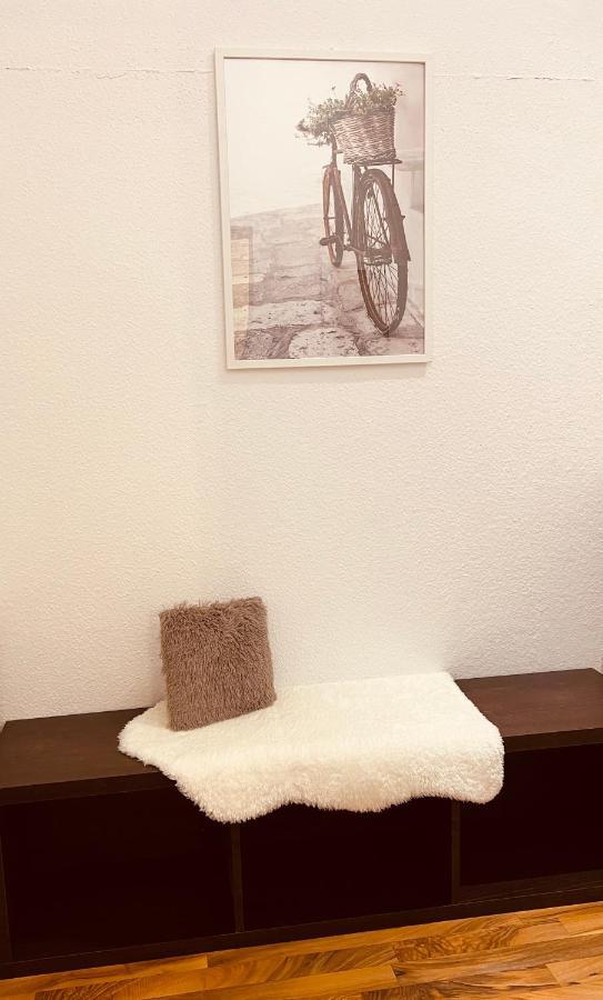 Charmante Ferienwohnung In Dresden Striesen - Frau Pie Appartement エクステリア 写真
